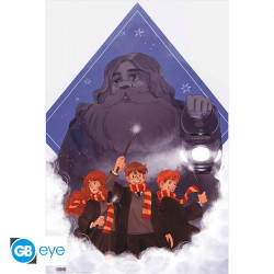 HARRY POTTER - Poster Maxi...